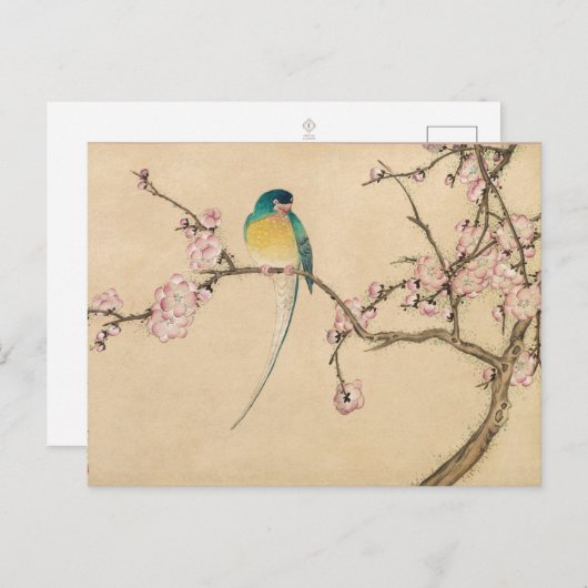  Bird met Plum Blossoms Briefkaart (Voorkant / Achterkant)