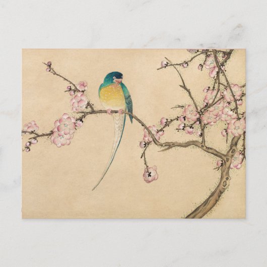  Bird met Plum Blossoms Briefkaart (Voorkant)