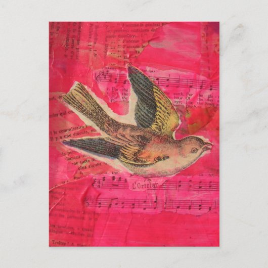  Bird Mixed Media Collage Hot Pink Briefkaart (Voorkant)