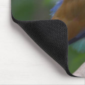 Bird Mousepad Muismat (Hoek)