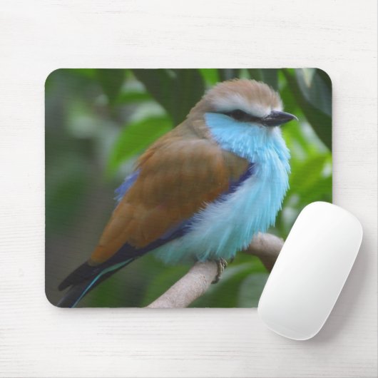  Bird Mousepad Muismat (Met muis)
