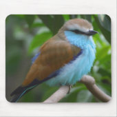  Bird Mousepad Muismat (Voorkant)