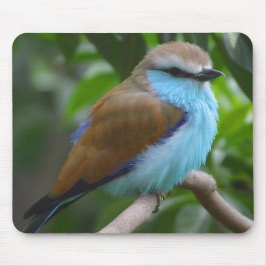 Bird Mousepad Muismat (Voorkant)