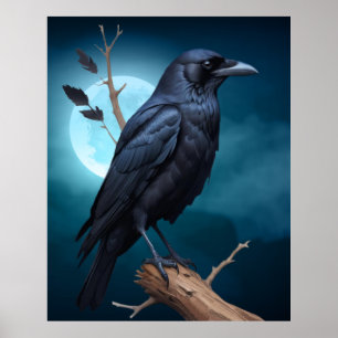 Bird Natuur Moonlight Corvid Crows Poster