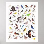 Bird Nerd Art Print (Voorkant)