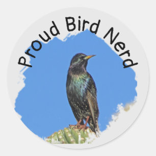Bird Nerd Black Starling Cactus Birdwatcher Ronde Sticker