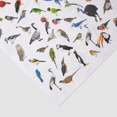 Bird Nerd Tissuepapier (Detail)