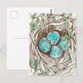 Bird Nest Blue Robin Eggs Spring Ink Tekening Briefkaart (Voorkant / Achterkant)