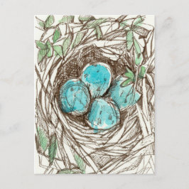 Bird Nest Blue Robin Eggs Spring Ink Tekening Briefkaart