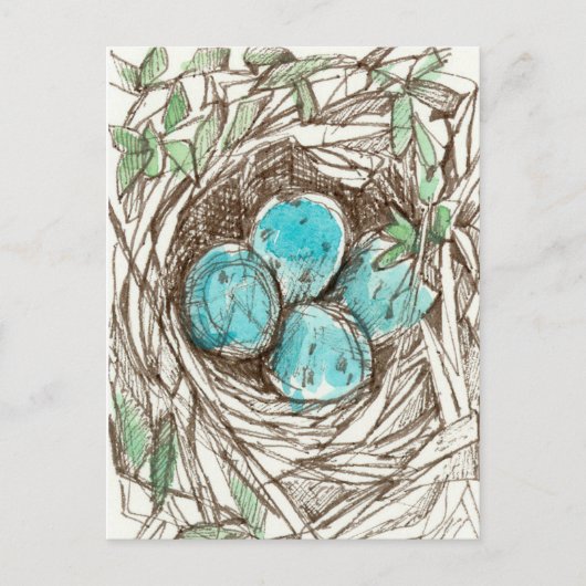 Bird Nest Blue Robin Eggs Spring Ink Tekening Briefkaart (Voorkant)