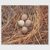 Bird Nest Brown Eggs Old Antiek Retro Cadeaupapier (Vlak)