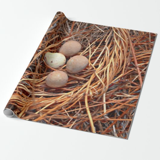 Bird Nest Brown Eggs Old Antiek Retro Cadeaupapier (Uitgerold)