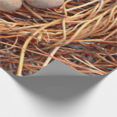 Bird Nest Brown Eggs Old Antiek Retro Cadeaupapier (Hoek)