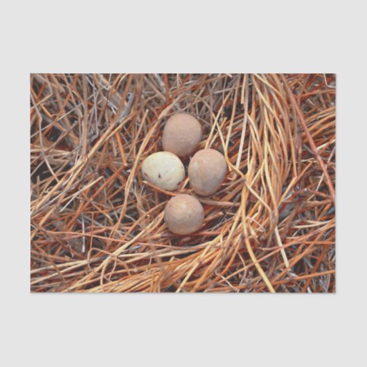 Bird Nest Brown Eggs Old  Antiek Retro Tissuepapier (Voorkant)