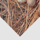 Bird Nest Brown Eggs Old  Antiek Retro Tissuepapier (Detail)