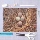 Bird Nest Brown Eggs Old  Antiek Retro Tissuepapier (Craft)