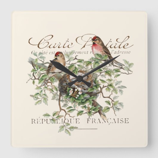 Bird Nest Carte Postale Franse Vintage Vierkante Klok (Voorkant)