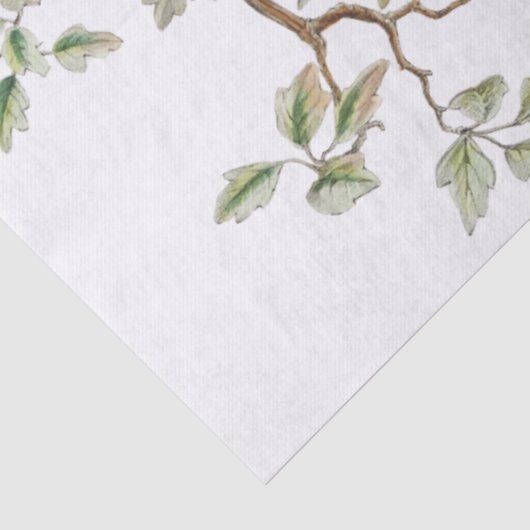 Bird Nest French Postmark  Decoupage Tissuepapier (Detail)