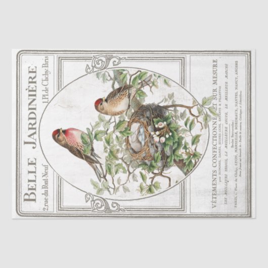 Bird Nest French Typography Garden Decoupage Tissuepapier (Voorkant)