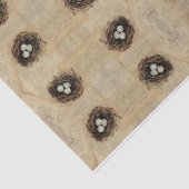 Bird Nest Old  Antiek Brown Eggs Tissuepapier (Detail)