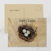 Bird Nest Old  Antiek Retro Brown Eggs Feestdagenkaart (Voorkant / Achterkant)