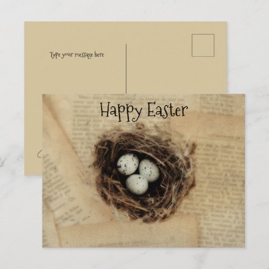 Bird Nest Old  Antiek Retro Brown Eggs Feestdagenkaart (Voorkant / Achterkant)
