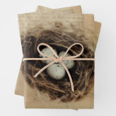 Bird Nest Old  Antiek Retro Brown Eggs Inpakpapier Vel (In situ)