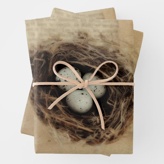 Bird Nest Old  Antiek Retro Brown Eggs Inpakpapier Vel (In situ)