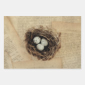 Bird Nest Old  Antiek Retro Brown Eggs Inpakpapier Vel (Voorkant)