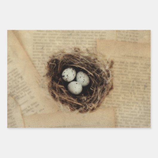 Bird Nest Old  Antiek Retro Brown Eggs Inpakpapier Vel (Voorkant)