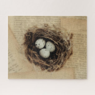 Bird Nest Old Antiek Retro Brown Eggs Legpuzzel