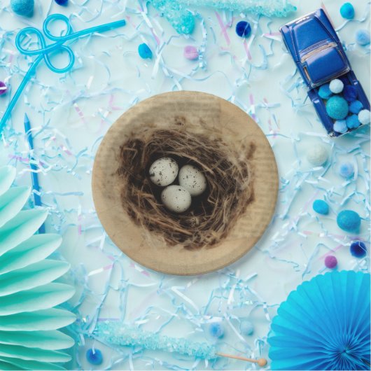 Bird Nest Old Antiek Retro Brown Eggs Papieren Bordje (Feest)