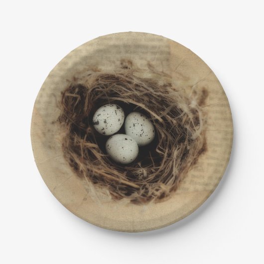 Bird Nest Old  Antiek Retro Brown Eggs Papieren Bordje (Voorkant)