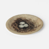 Bird Nest Old  Antiek Retro Brown Eggs Papieren Bordje (Gekanteld)