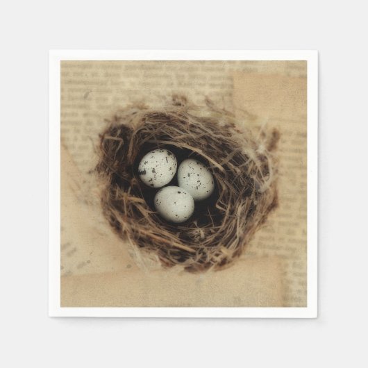 Bird Nest Old  Antiek Retro Brown Eggs Servet (Voorkant)