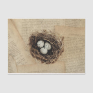Bird Nest Old Antiek Retro Brown Eggs Tissuepapier