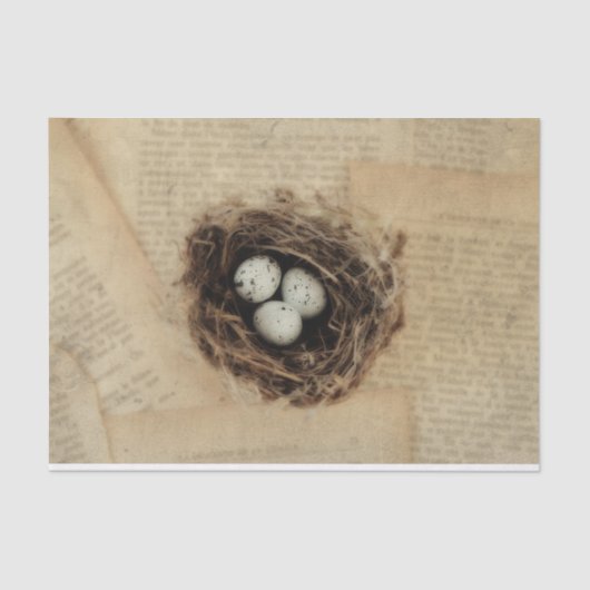 Bird Nest Old Antiek Retro Brown Eggs Tissuepapier (Voorkant)