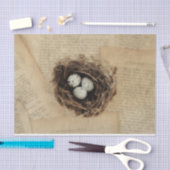 Bird Nest Old  Antiek Retro Brown Eggs Tissuepapier (Craft)