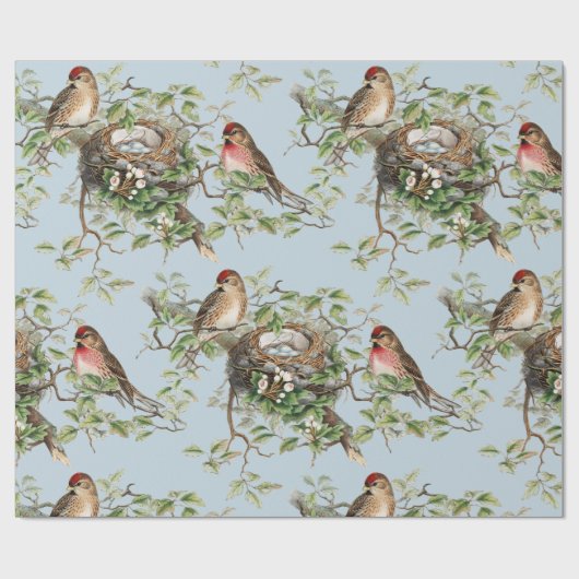 Bird Nest Pattern  Blue Natuur Ontkoppeling Cadeaupapier (Vlak)