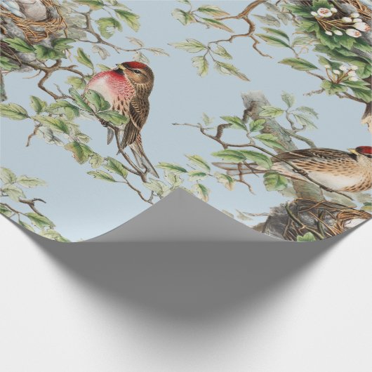 Bird Nest Pattern  Blue Natuur Ontkoppeling Cadeaupapier (Hoek)