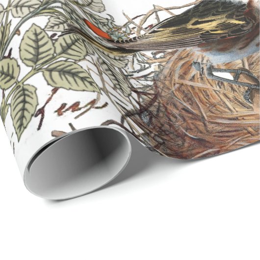 Bird Nest Pink Rose Butterfly Gold French Script Cadeaupapier (Rol Hoek)