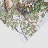 Bird Nest Postmark Butterfly Carte Postale Blue Tissuepapier (Detail)