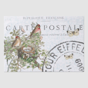 Bird Nest Postmark Butterfly Carte Postale Blue Tissuepapier