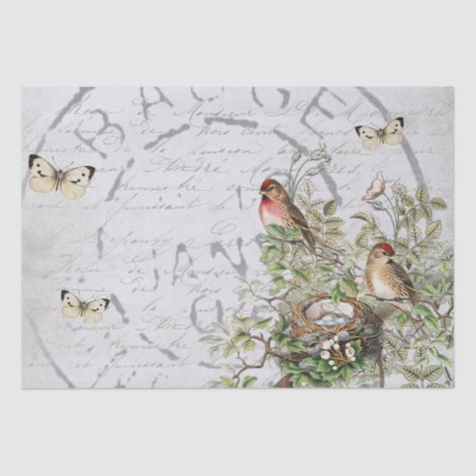 Bird Nest Postmark Butterfly French Script Blue Ti Tissuepapier (Voorkant)