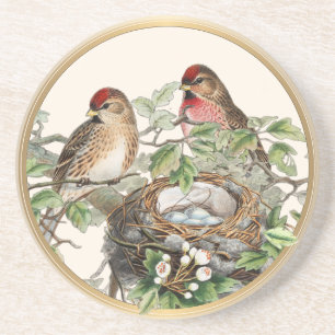 Bird Nest Redpoll Spring Natuur  Gold Lijst Zandsteen Onderzetter