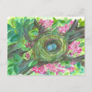 Bird Nest Robin Eggs Pink Flower Tree Briefkaart