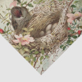 Bird Nest Roos French Script  Decoupage Big Tissuepapier (Detail)