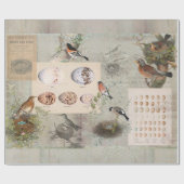 Bird Nest Script Ephemera Eggs Ontvlekken Cadeaupapier (Vlak)