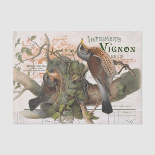 Bird Nest Tree  Frans Script Decoupage Tissuepapier (Voorkant)