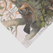 Bird Nest Tree  Frans Script Decoupage Tissuepapier (Detail)